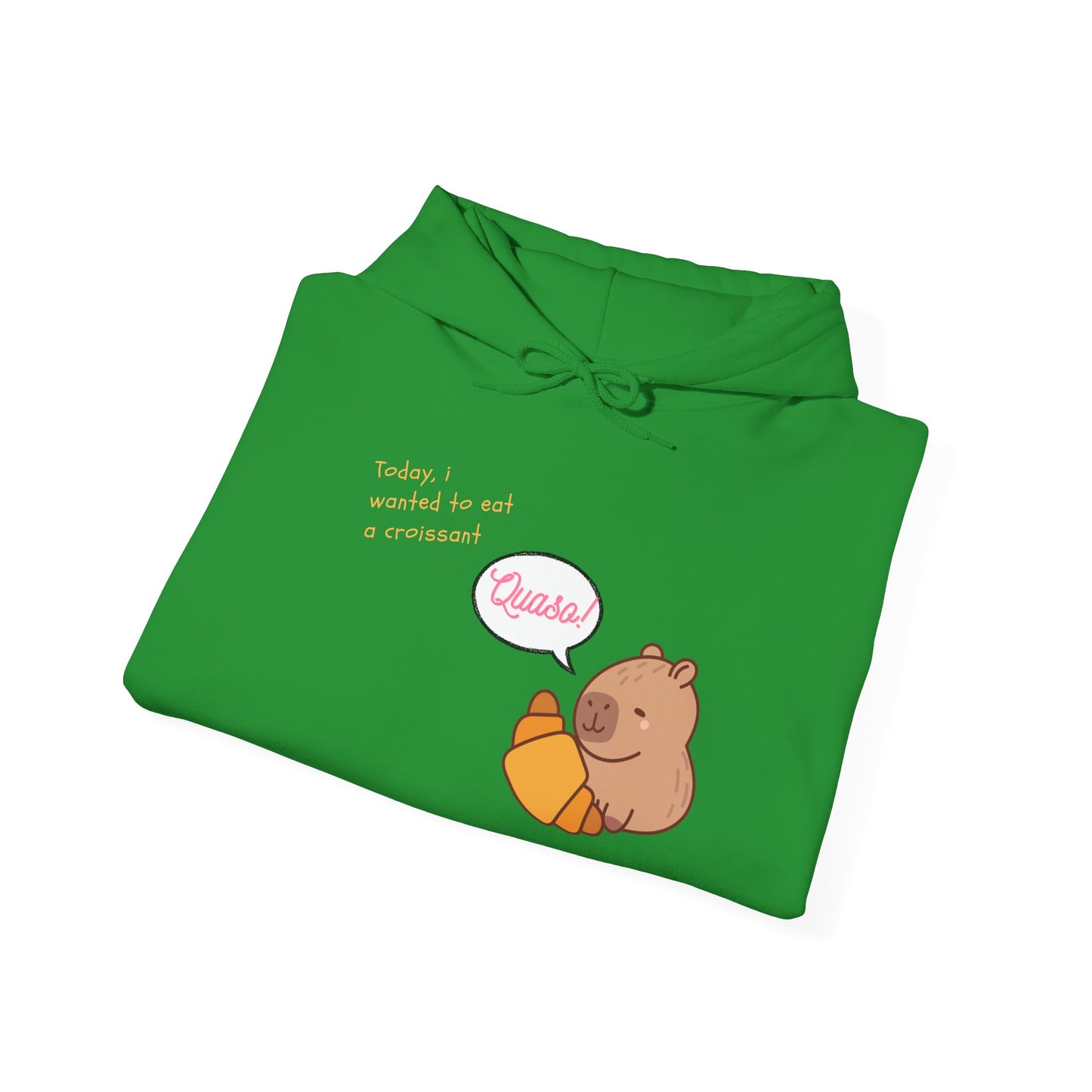 Funny Capybara Hooded Sweatshirt