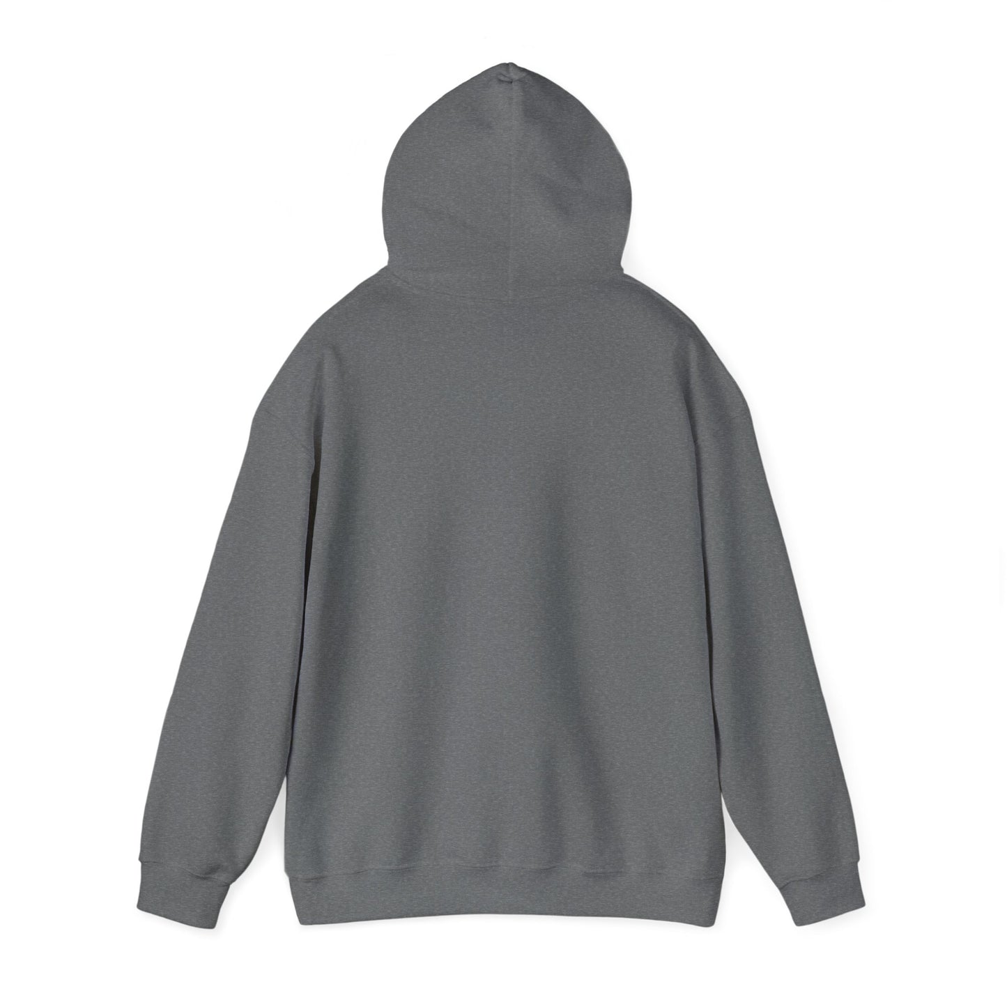 Funny Capybara Hooded Sweatshirt