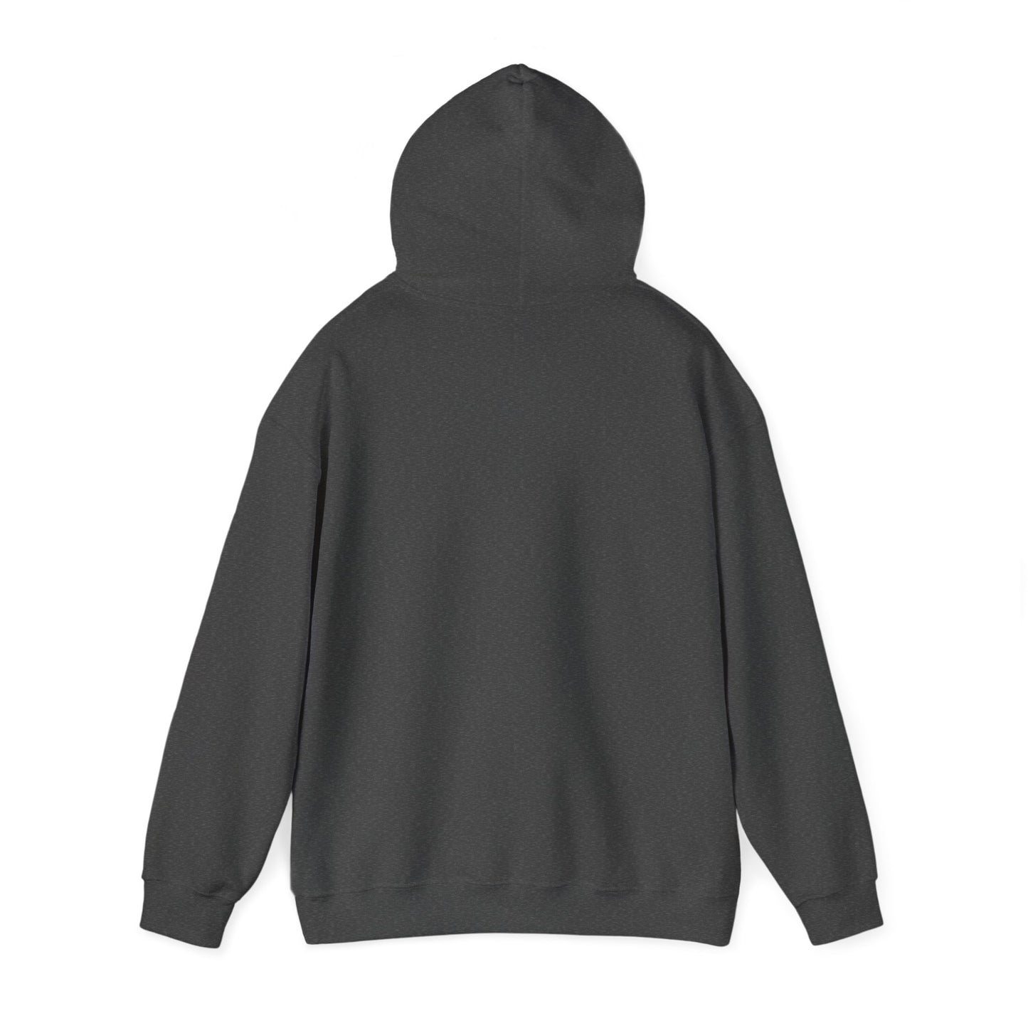 Funny Capybara Hooded Sweatshirt