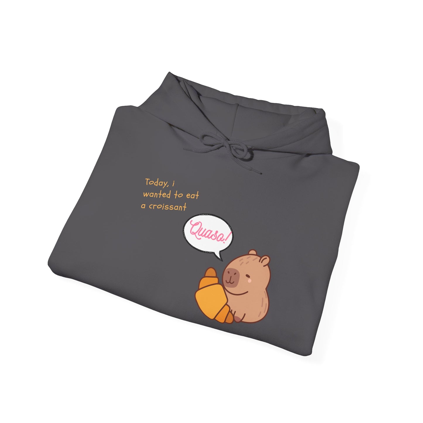 Funny Capybara Hooded Sweatshirt