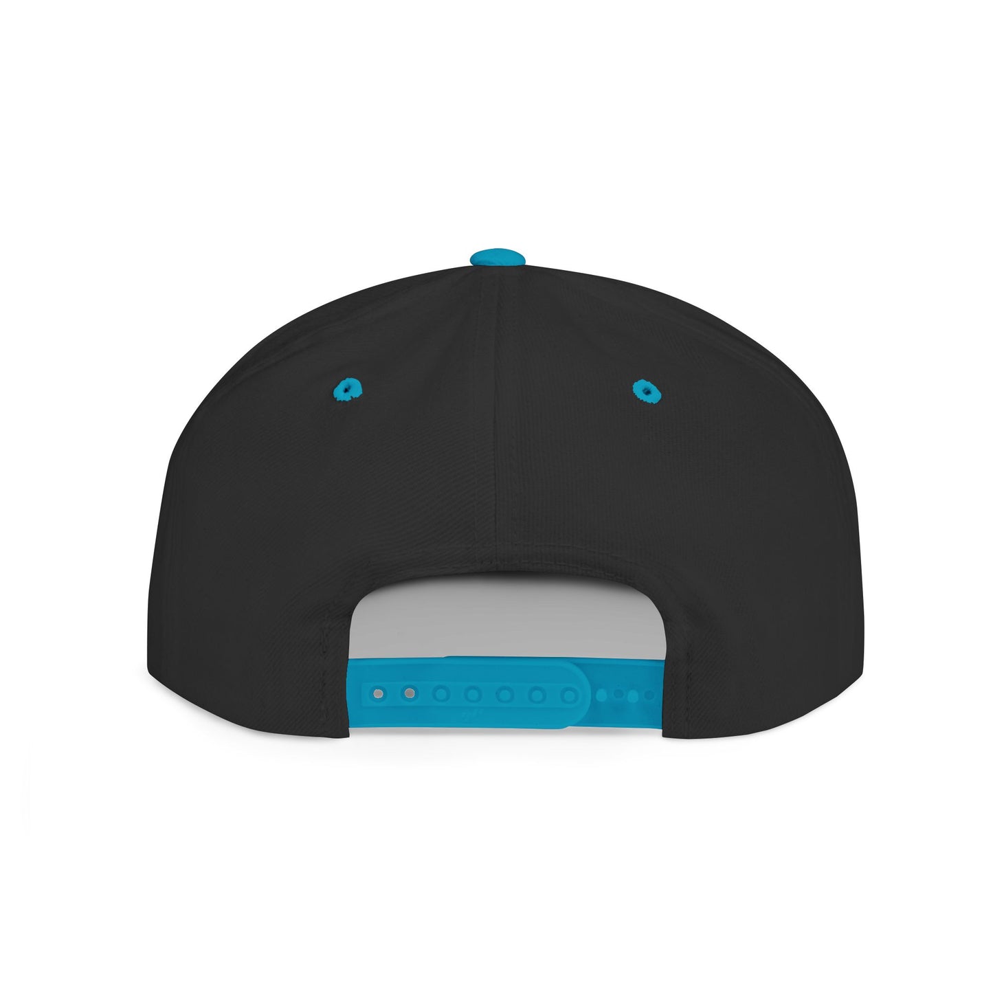 Snapback Hat - Funny Smudge the Cat Design