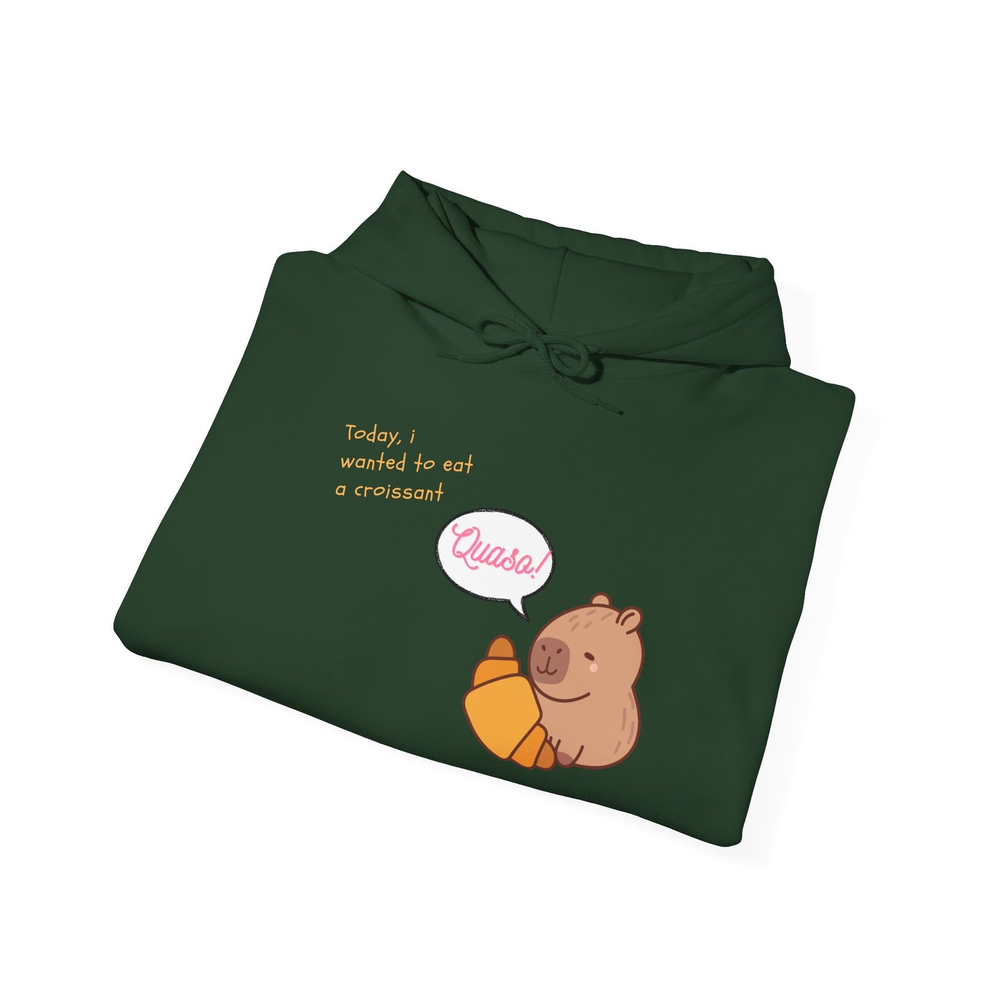 Funny Capybara Hooded Sweatshirt