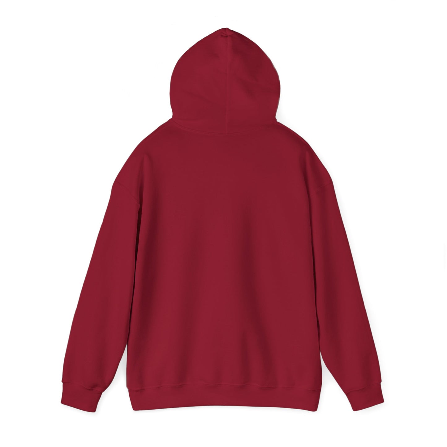 Funny Capybara Hooded Sweatshirt