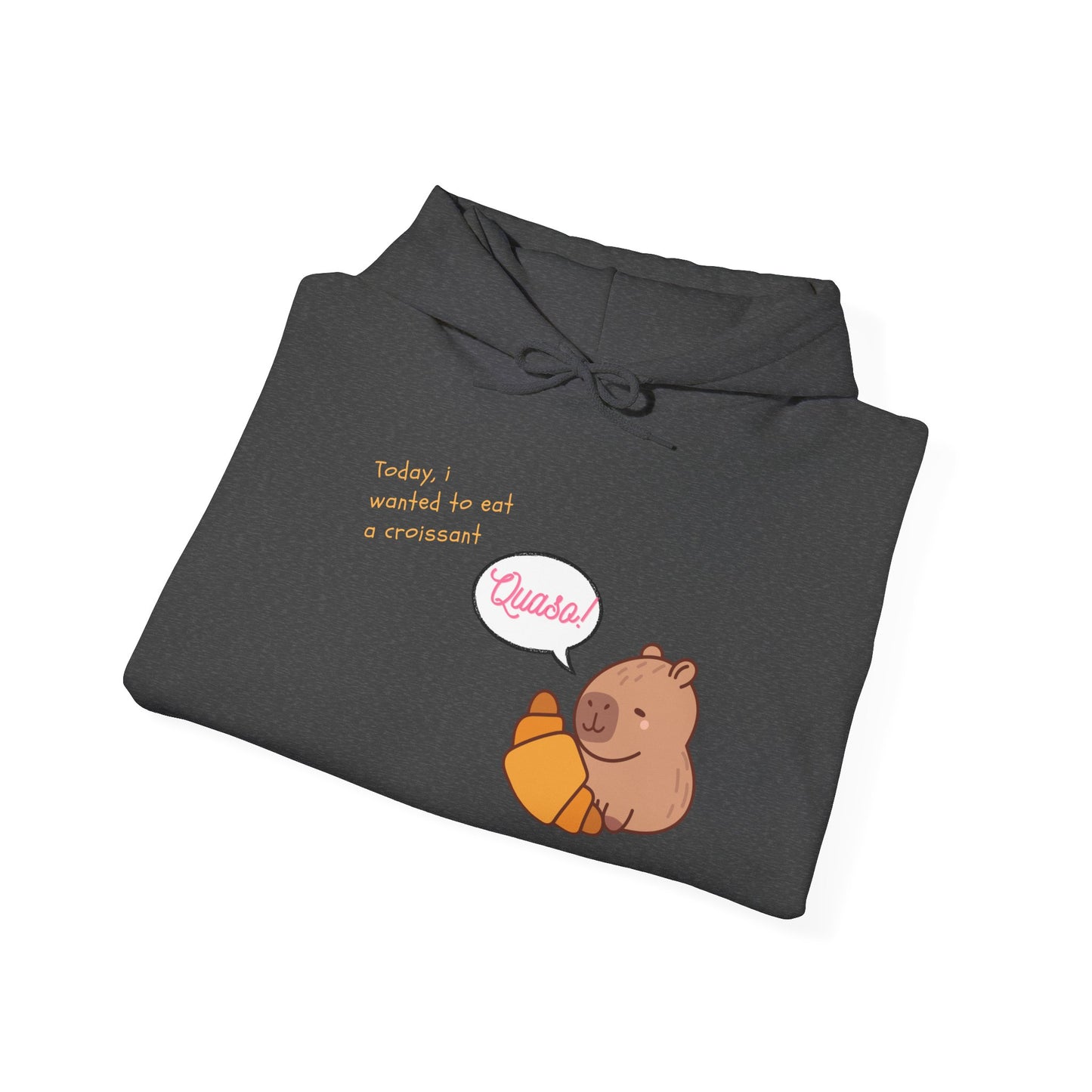 Funny Capybara Hooded Sweatshirt