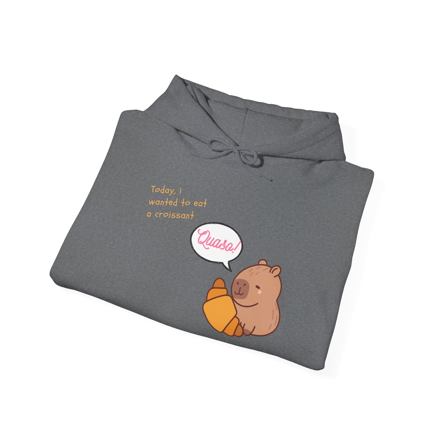 Funny Capybara Hooded Sweatshirt
