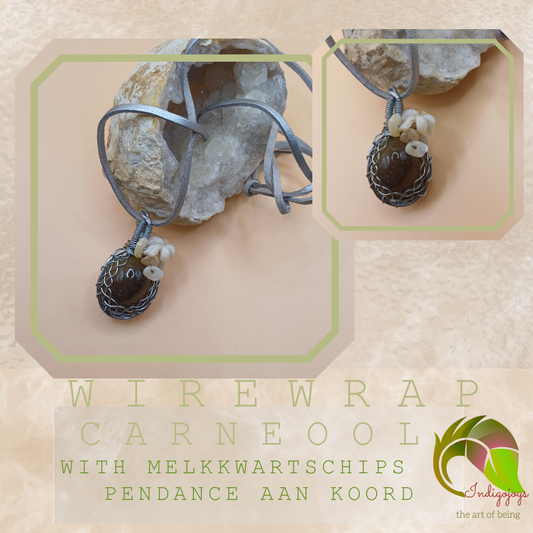 wirewrap carneool hanger aan zilveren koord