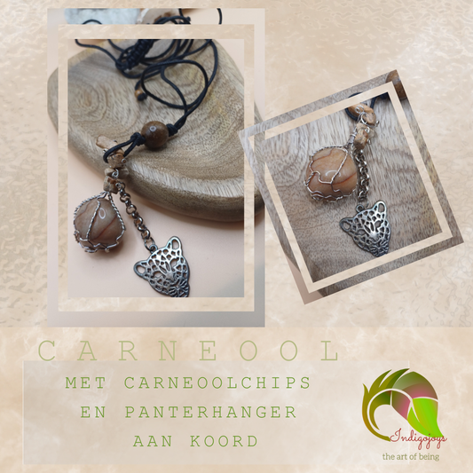 Wirewrap Hanger Carneool – panter Energie